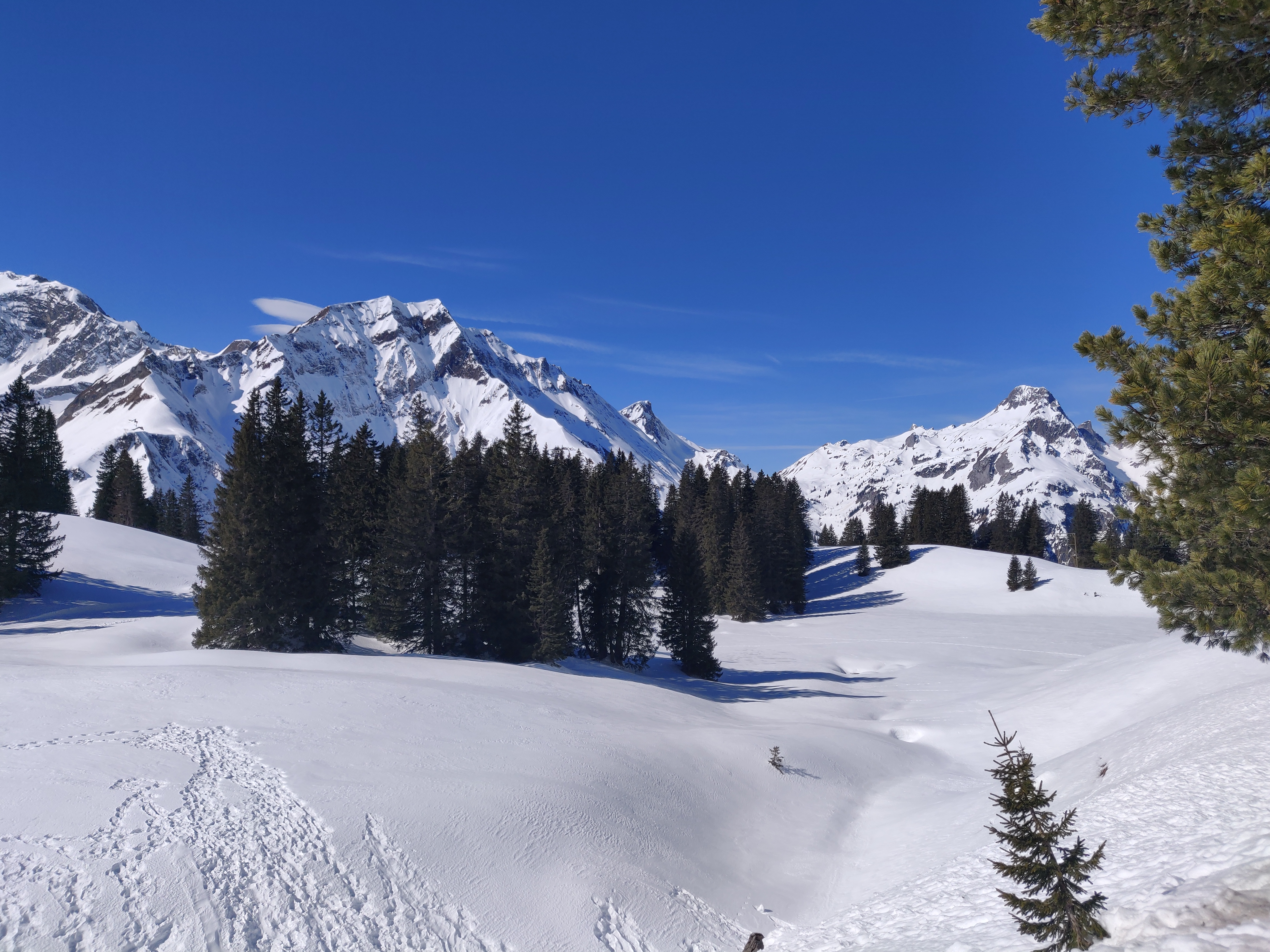 Winteraktivität - Mach doch was Du willst
